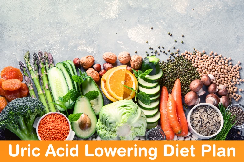 Gout / High Uric Acid Diet